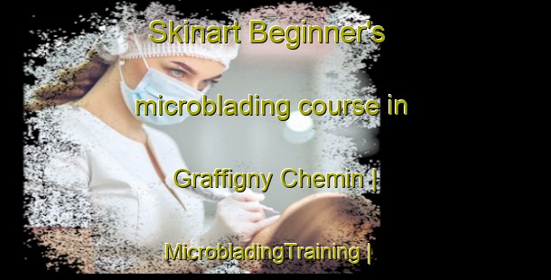 Skinart Beginner's microblading course in Graffigny Chemin | MicrobladingTraining | MicrobladingClasses | SkinartTraining-France